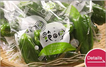 TSUYAYAKA Green Pepper