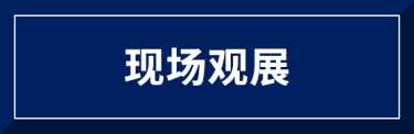 现场观展