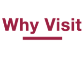Why Visit