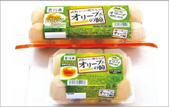 香川県産鶏卵【オリーブの瞳】