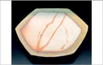 BIZEN-as a table ware-