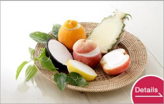 Fruit sherbet & Ice cream