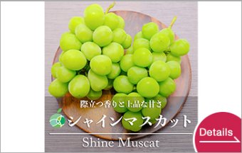Cheinmuscat (grape variety)