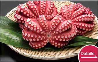 Whole Boiled Octopus