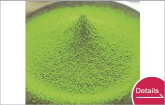 Matcha
