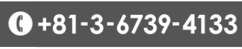 +81-3-6739-4133