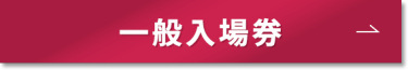 一般入場券 >