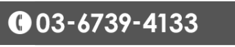 03-6739-4133