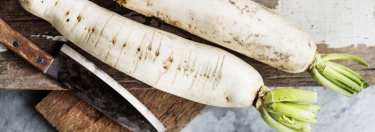 daikon radish