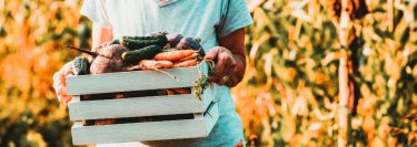 growing organic food female farmer